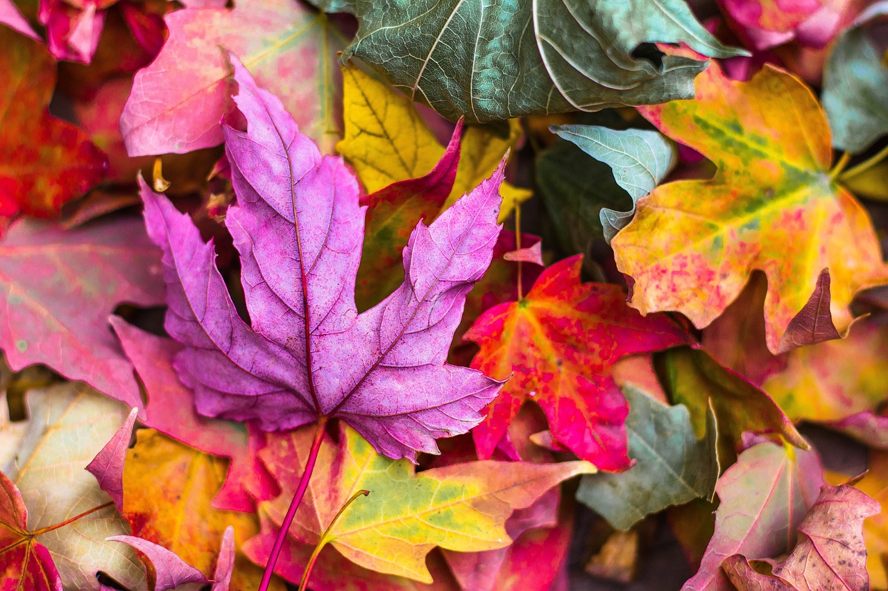 Zelfgemaakte herfstkrans met kleurrijke bloemen.