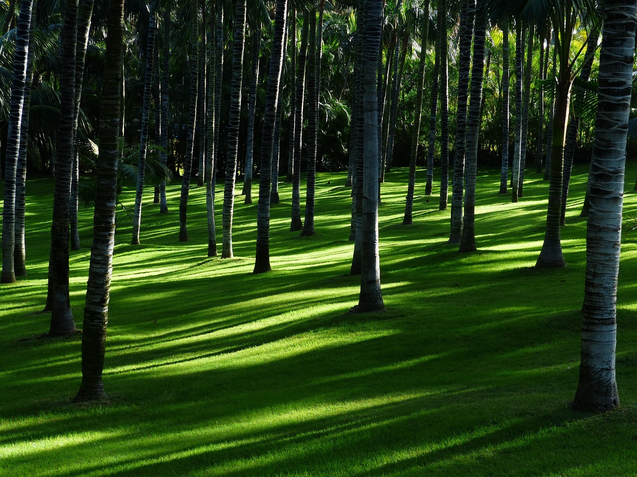 Rustgevend watervalletje tussen herfstige planten. Rustgevend watervalletje tussen herfstige planten.